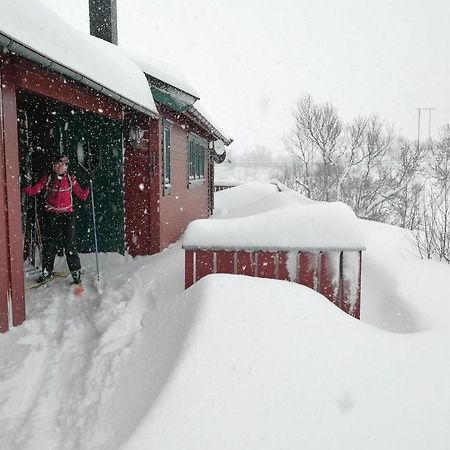 Reinunga Eco Hytta - Mountain Lodge Near Myrdal Accessible Only By Train Or Bike Exterior photo