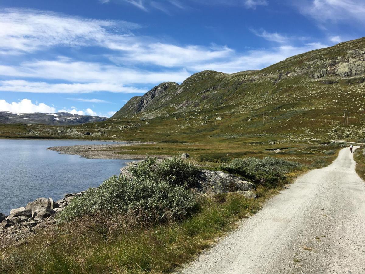 Reinunga Eco Hytta - Mountain Lodge Near Myrdal Accessible Only By Train Or Bike Exterior photo