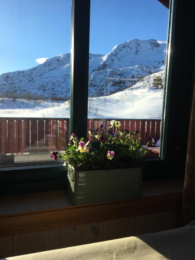 Reinunga Eco Hytta - Mountain Lodge Near Myrdal Accessible Only By Train Or Bike Exterior photo
