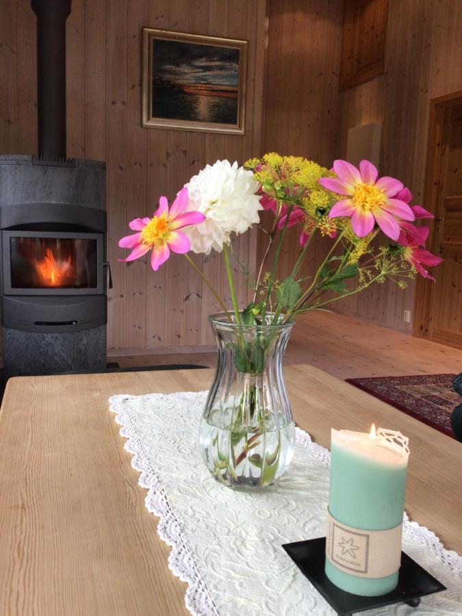 Reinunga Eco Hytta - Mountain Lodge Near Myrdal Accessible Only By Train Or Bike Exterior photo