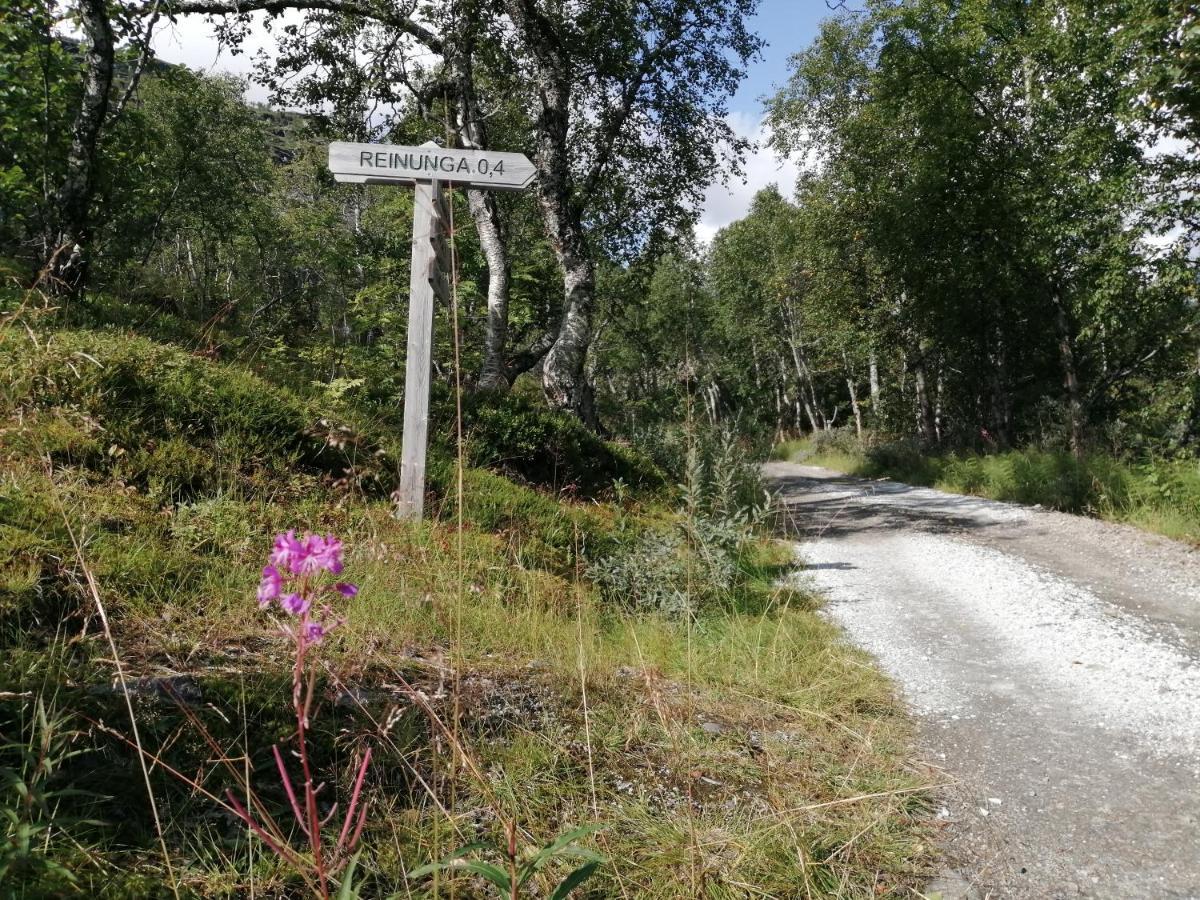 Reinunga Eco Hytta - Mountain Lodge Near Myrdal Accessible Only By Train Or Bike Exterior photo