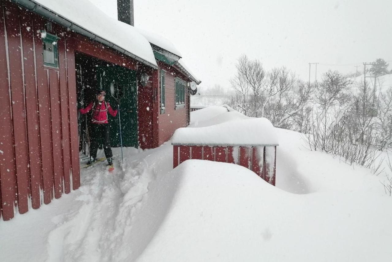 Reinunga Eco Hytta - Mountain Lodge Near Myrdal Accessible Only By Train Or Bike Exterior photo